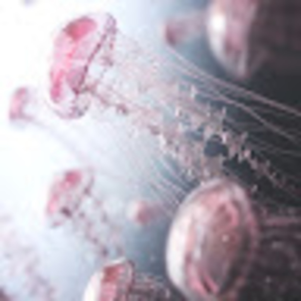 Meet your Posher, Leonie